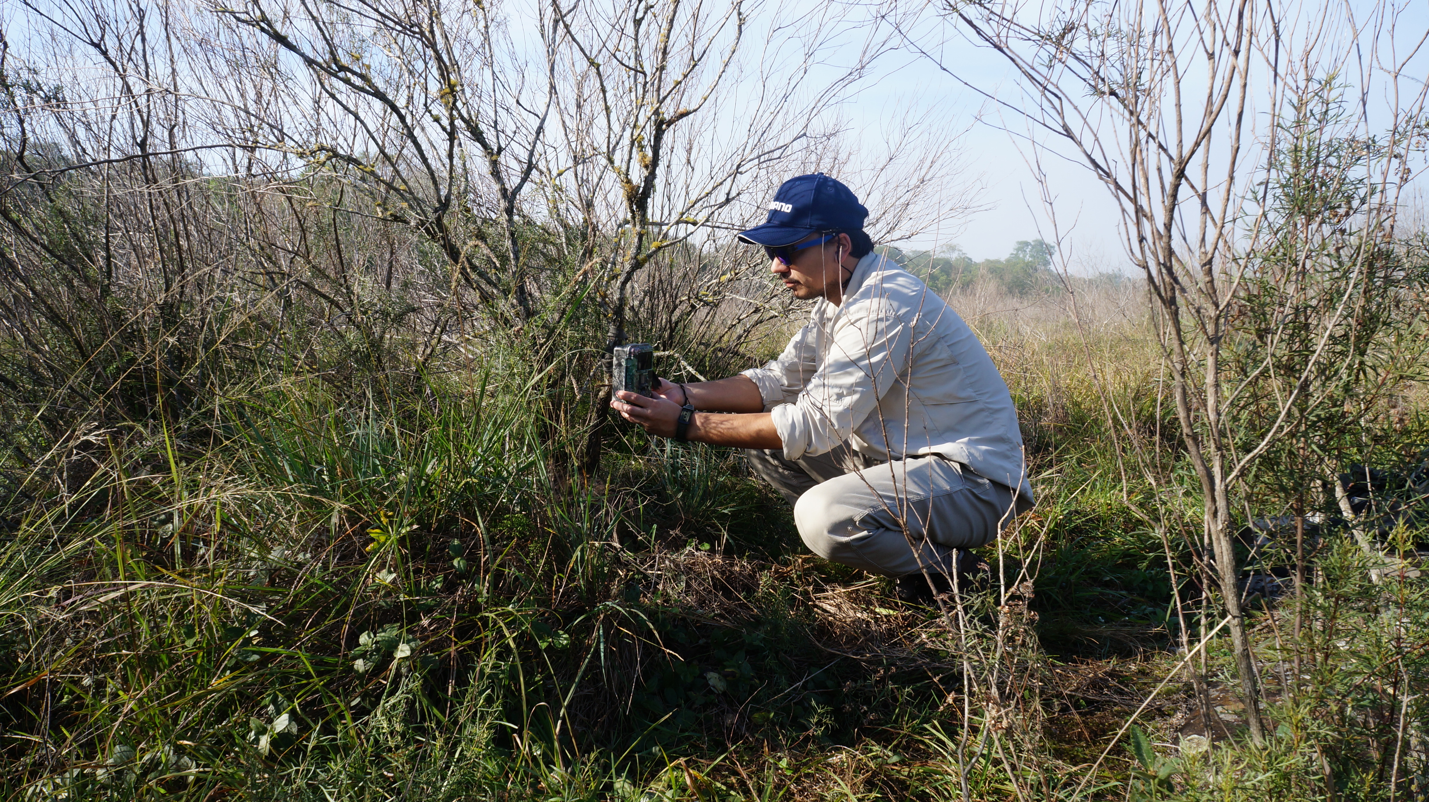 Wildlife monitoring