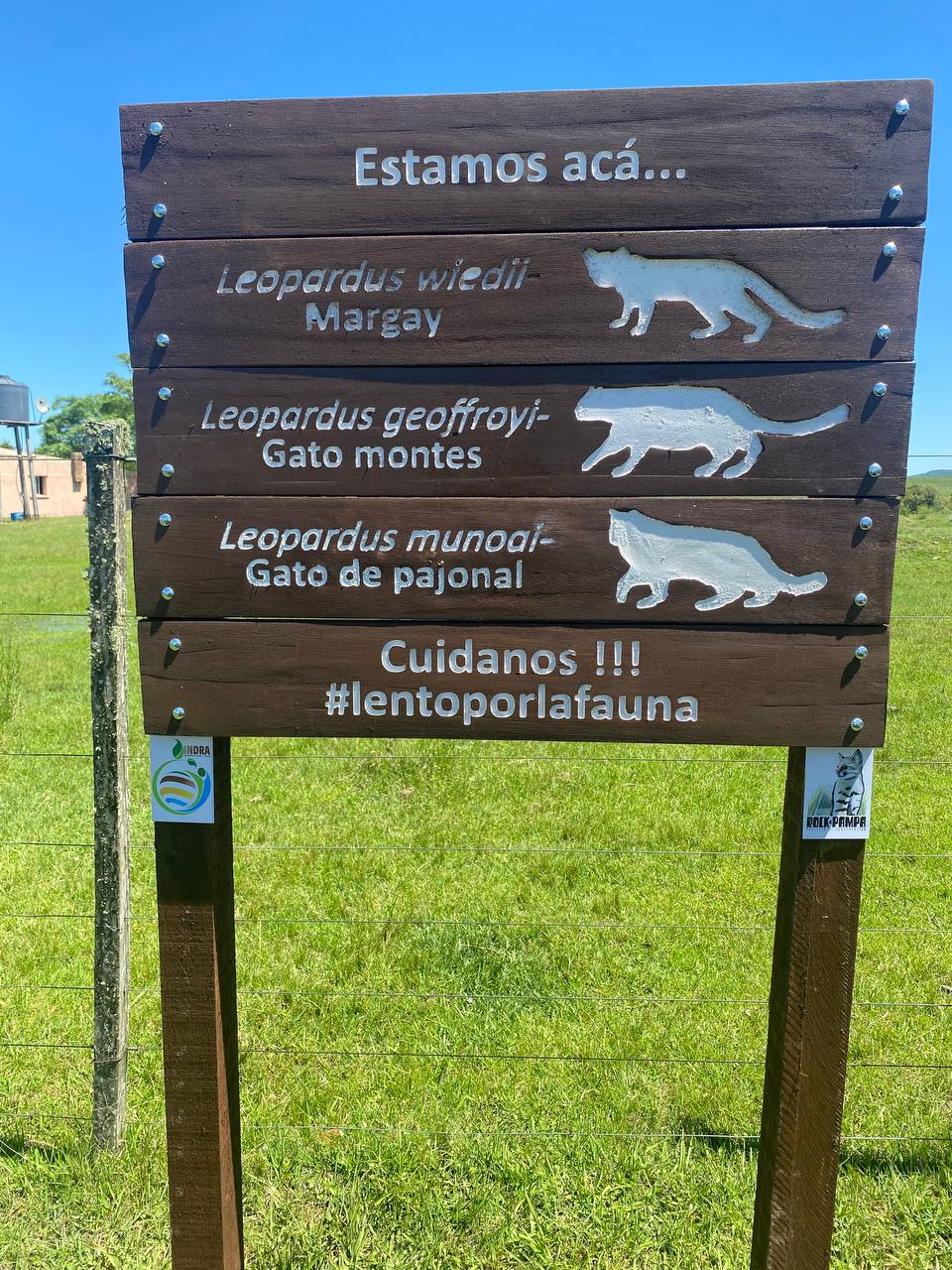 Roadside sign identifying Uruguay's three small wild cat species