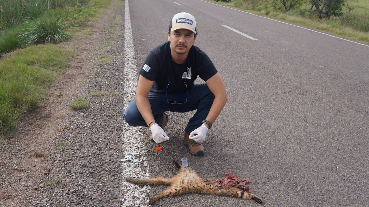 Wildlife crossing sign