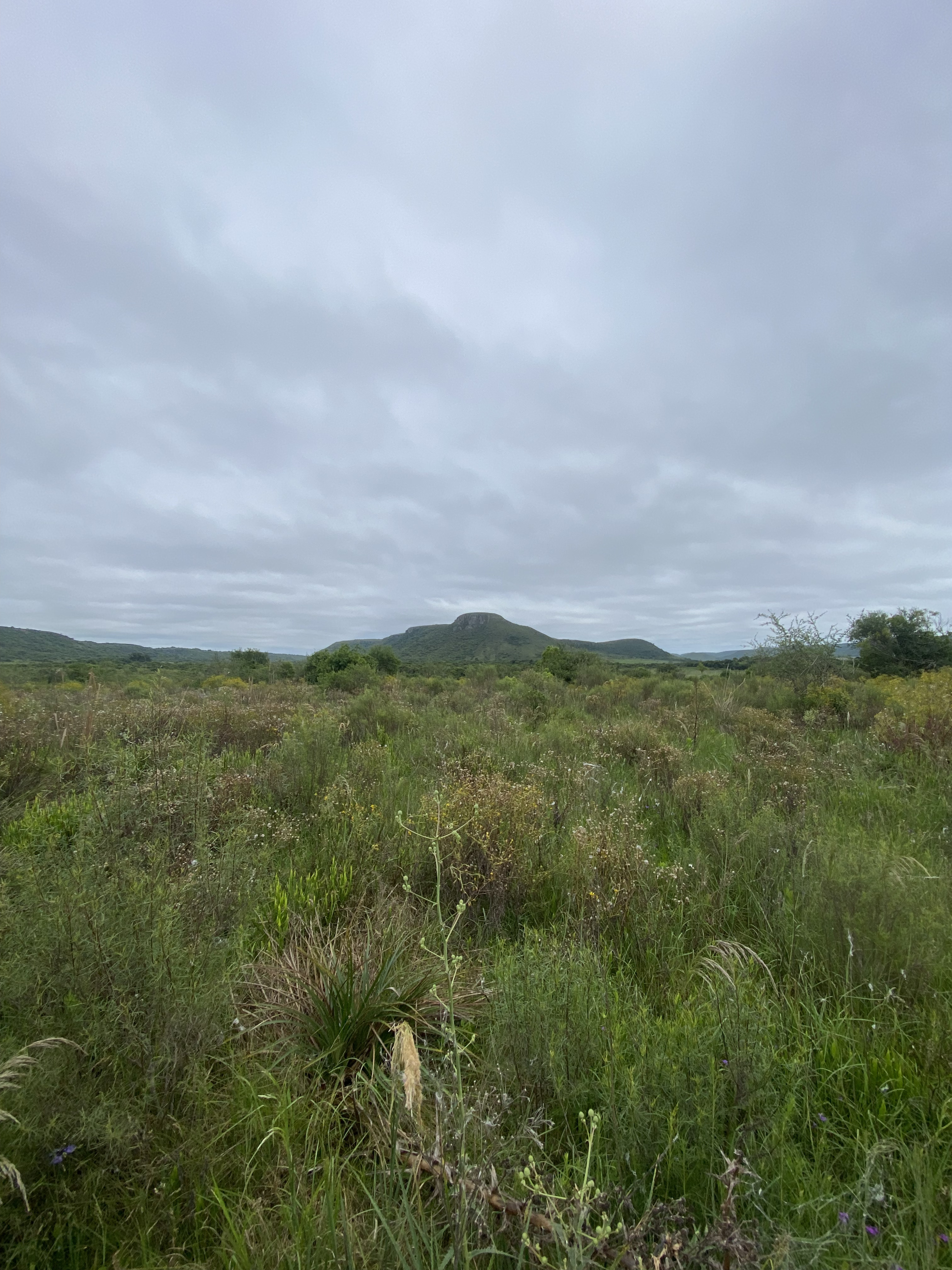 Protecting endangered species