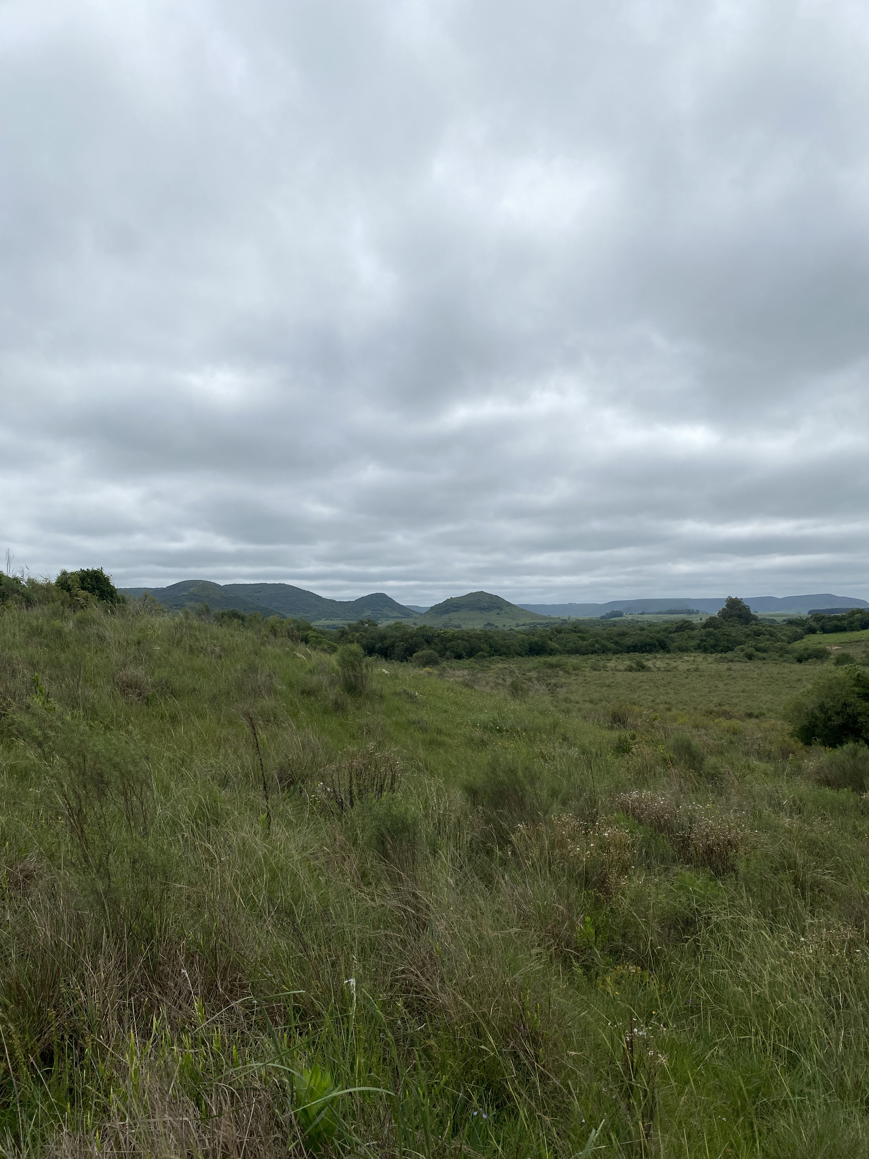 Conservation efforts in action